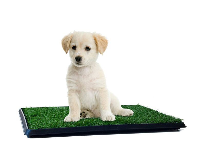 Artificial Grass Dog Toilet 3001 Artificial Grass Dog Toilet 3001