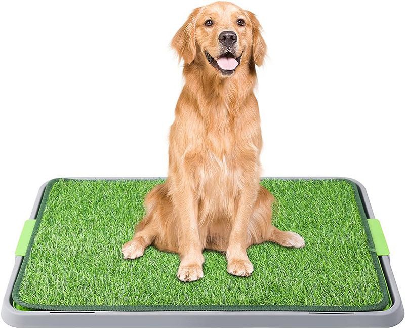Artificial Grass For Dog001 Artificial Grass For Dog001