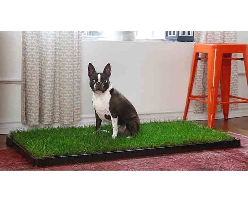 Fake Grass Patch For Dog002 Fake Grass Patch For Dog002