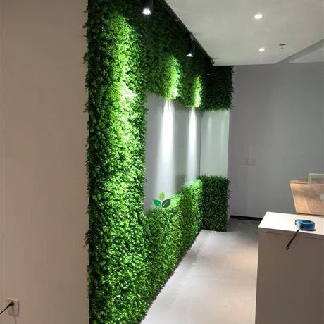 Australia Office Fake Living Wall Project Australia Office Fake Living Wall Project