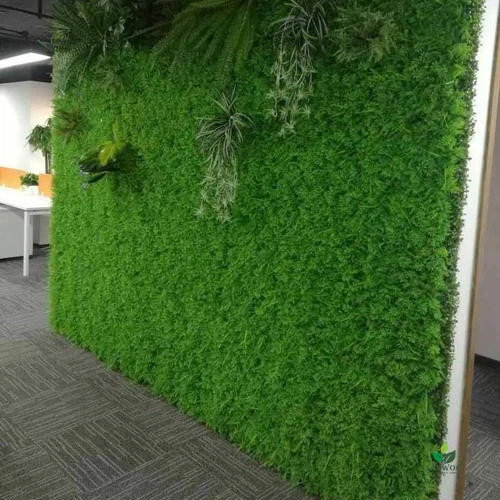Spain Office Artificial Greenwall Project Spain Office Artificial Greenwall Project