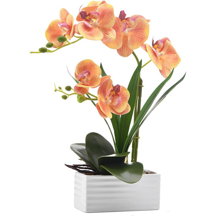 Orchidee z prawdziwym dotykiem