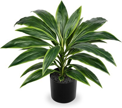 Sztuczna roślina draceny